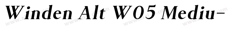Winden Alt W05 Mediu字体转换